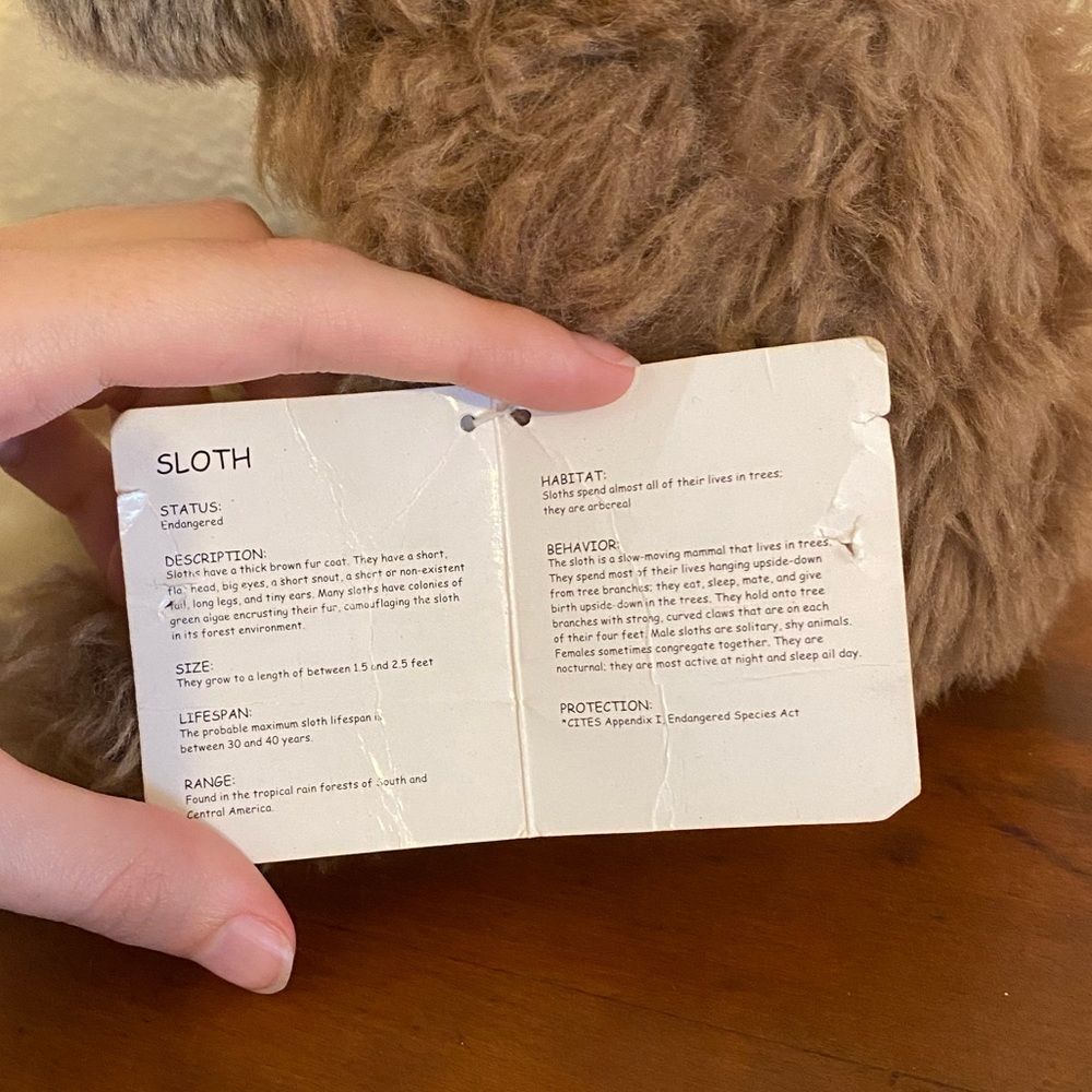 Sloth stuffed animal - Picture 5 of 7